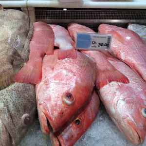 Red Snappers